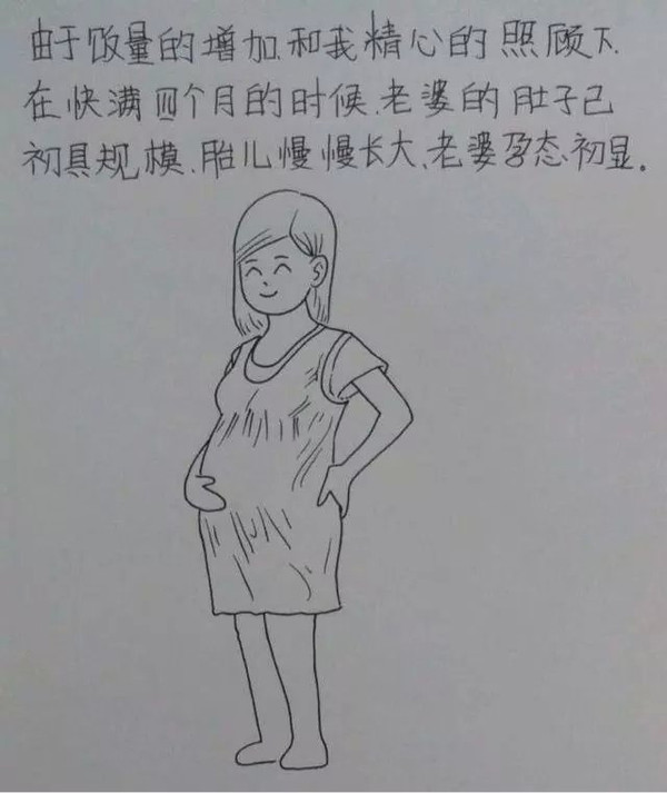 一个男人画出老婆怀孕和他的那点事
